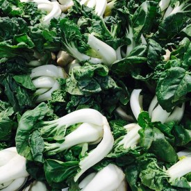 11349320_1481838145467146_1905155522_n