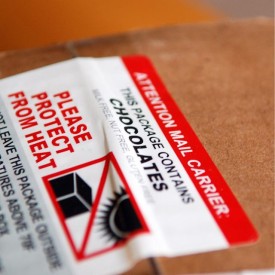 11371253_401359783386155_2082771671_n