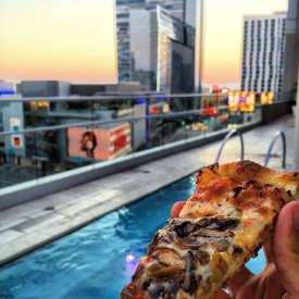 11374096_1483871998574068_747321538_n