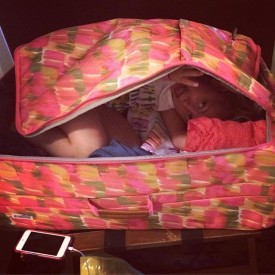 11810000_306956066141651_1520498854_n