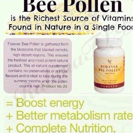 11820464_978942482169550_174377384_n