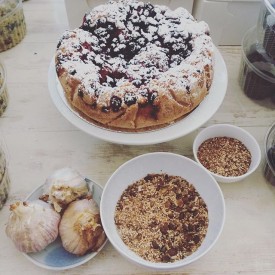 11821899_1698221970408340_168346451_n