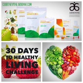 11850421_1493864580925396_2092812822_n