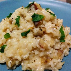 11899543_932455120144171_837790454_n