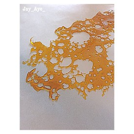 11899641_1694749577424370_762975489_n