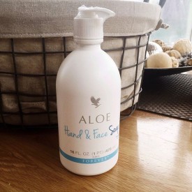 11910080_483491135144115_197889549_n