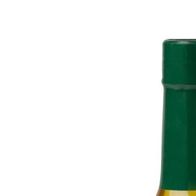 11939633_853120541435550_228374744_n