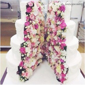 11191079_511069805709550_1480926824_n