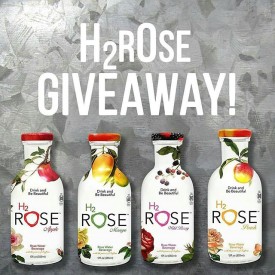 11255300_478359749013469_688159838_n