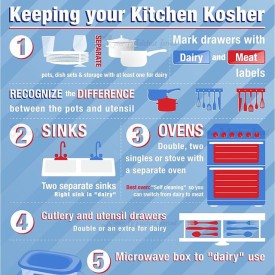 11261282_1710251029194652_1351503737_n