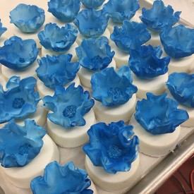 11820418_484683801656837_21336325_n