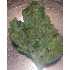 11821073_1024810284225213_1824011475_n