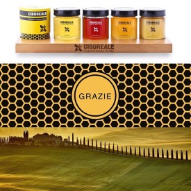 11821261_1635819573347413_830519192_n