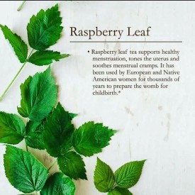 11821825_452606964927537_1846119312_n