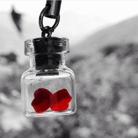 11849925_460256224099535_482311362_n