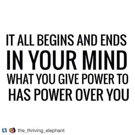 11881685_409011295970960_1472024085_n