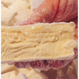 11899559_1502445023399696_1108280903_n