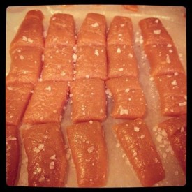 11909275_615522791883390_977680339_n