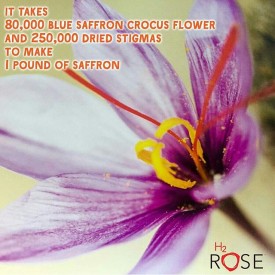 11910123_1500287583597961_550180508_n