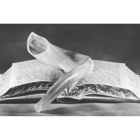 11925799_723754461102018_286123433_n