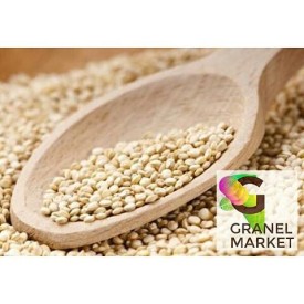 11925868_1616359668630061_1538209167_n