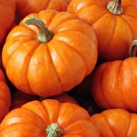 11931123_529978377169382_1717413822_n