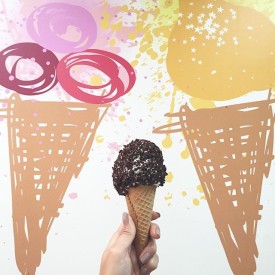 11939588_1502625160058147_760364055_n