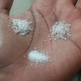 11950583_839594872828133_1149607603_n