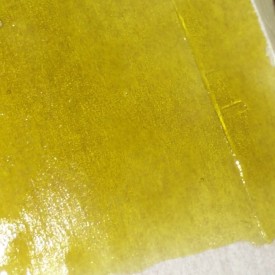 11849867_873589349361976_2065365015_n