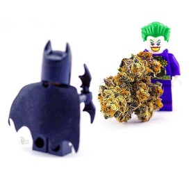 12063081_861065040673370_2143660528_n