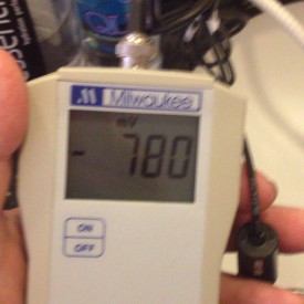 12080543_899609780108763_830147705_n