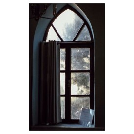 12081145_528578077306739_867772904_n