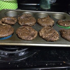 12107666_464311257089818_846530568_n