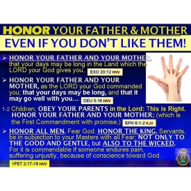 12120323_1078039335540536_625833429_n