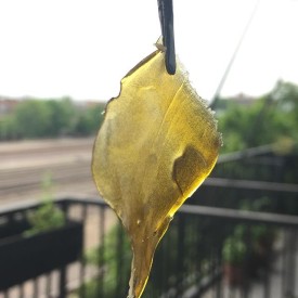 12120343_418669035009140_302810941_n