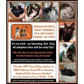 12135301_1202318499784401_2044287430_n