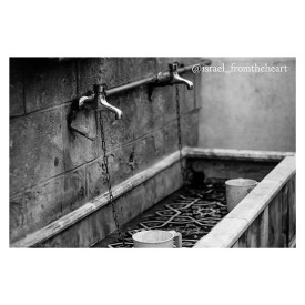 12135409_1621847304741814_640817712_n