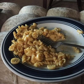 12139662_738552486279450_1932675216_n