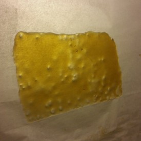 12142426_424290357778850_1600430531_n