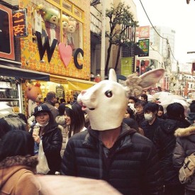 12142514_1159859180710336_1923549255_n