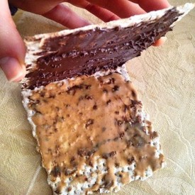 12142535_1675324546017911_610219062_n