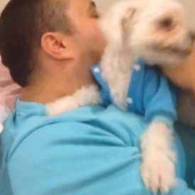 12144233_433183576888742_741361445_n