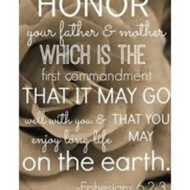 12145019_1502070490087297_890398482_n