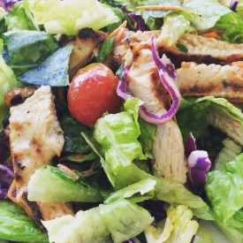 12145237_419810158215351_43369197_n