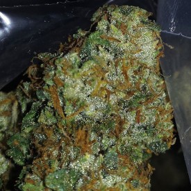 12145412_164472500568505_1100872742_n