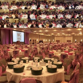 12145435_520787564751424_395304358_n