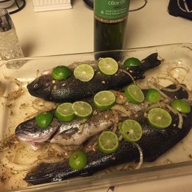 12145567_402278579966799_1737252105_n