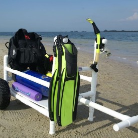 11247843_564224353729779_216291791_n