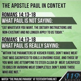 11326129_1656494127925473_465070709_n