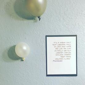 11326452_931934720226386_226849229_n